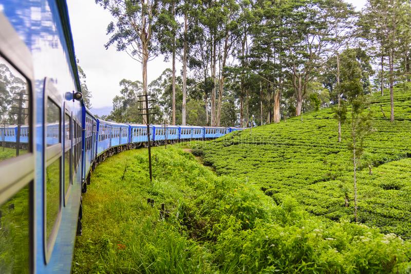 NuwaraEliya